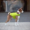 Курточка-накидка для собак AiryVest, S, B 41-51 см, С 25-35 см салатовий - Зображення 6