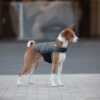Курточка-накидка для собак AiryVest, S, B 41-51 см, С 25-35 см чорний - Зображення 6