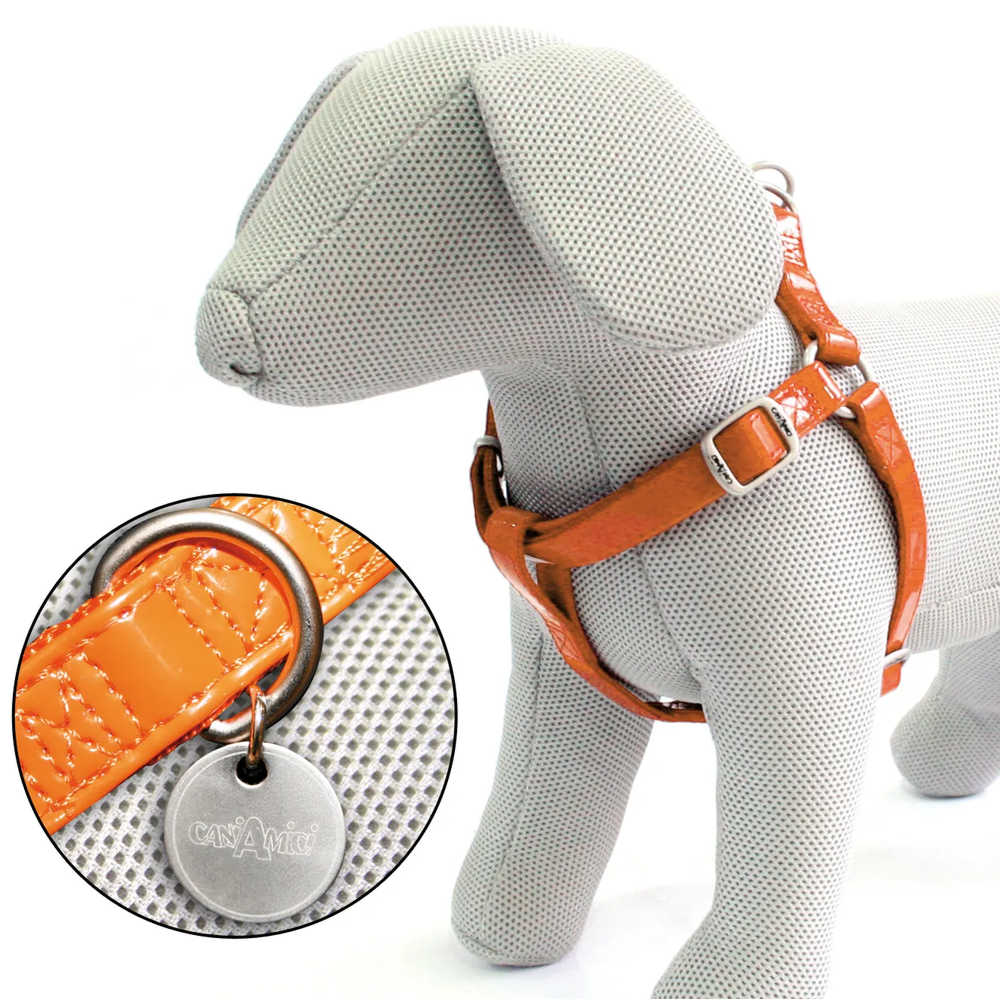 Шлея GLOSSY, (глянцева штучна шкіра лак +нейлон), помаранчева 50-75x2см купити в Україні OnRiver.com.ua Шлея GLOSSY, (глянцева штучна шкіра лак +нейлон), помаранчева 50-75x2см