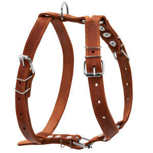 Шлея "CoLLaR" одинарна для середніх собак (ширина 25мм, А:49-68см, В:68-80см) коричневий