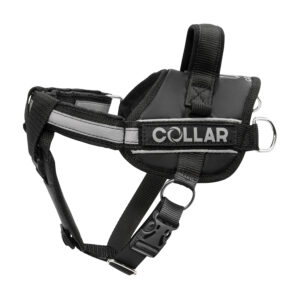 Шлея "Dog Extreme" "POLICE" №2 (В:40-60см), чорний