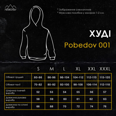 Мужское демисезонное худи с капюшоном стальное Pobedov 001