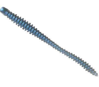 Силікон Nomura Glitter Rib Worm (їстівний) 120 мм 3,5 г. колір-009 (blue shiner back) 6 шт.