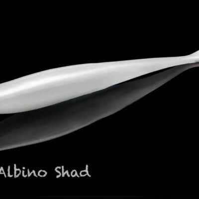 Акційні товари купити в Україні OnRiver.com.ua Силикон Lunker City Freaky Fish 8/BG 4.5" #036 Albino Shad