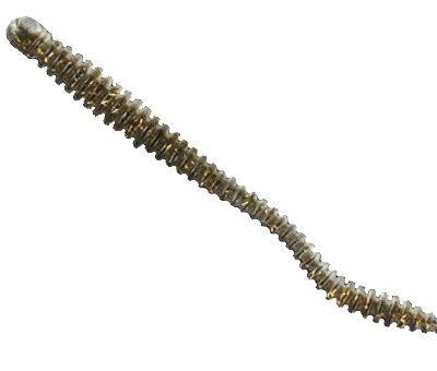 Силікон Nomura Glitter Rib Worm (їстівний) 120 мм 3,5 г. колір-035 (gold glitter back) 6 шт.