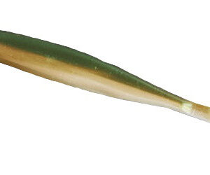 Силікон Nomura Rocket Shad (їстівний) 100 мм 5 гр. колір-024 (ghost green) 6 шт.