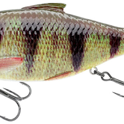 Воблер Savage Gear 3D Hard Pulsetail Roach SS 135mm 40.0g Perch