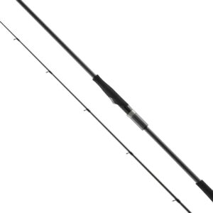 Спиннинг Favorite Black Swan BSWTS1-982MH 2.94m 10-36g Fast