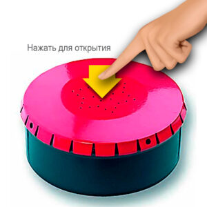 Коробка для опаришу DAM click magot box