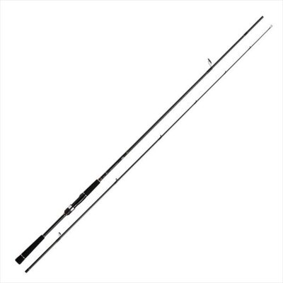 Спінінг Daiwa Seabass Hunter X 100MH-R 3.05m 12-60g