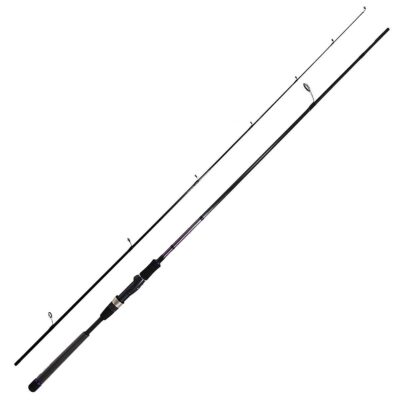 Спінінг Daiwa Crosscast Seabass 2.9m 14-42g