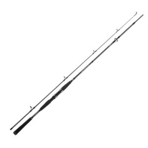 Спінінг Daiwa Seahunter X 2.40m 40-120g (11533-245)