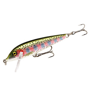 Воблер Rapala Countdown S 110mm 16g 2.7-3.9m #RT (CD11 RT)