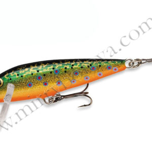 Воблер Rapala Countdown Sinking 25mm 2.7g 0.3-0.9m #BTR (CD01 BTR)