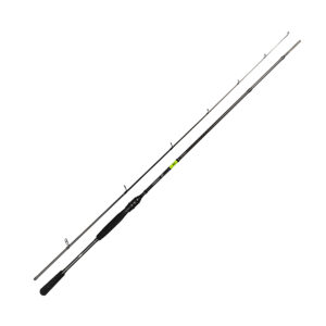 Спінінг Daiwa Prorex X Spin 2.56m 30-120g (PXE842XHFS-BS)