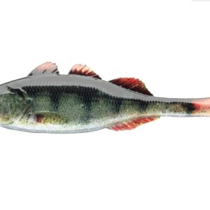 Силікон Daiwa Prorex Live Perch 7.5cm 4g 5pcs #LP (15510-002)
