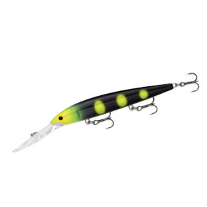 Воблер Rapala Down Deep Husky Jerk 120mm 15g #NTR (DHJ12 NTR)