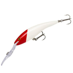 Воблер Rapala Deep Tail Dancer 90 mm13g #RH (TDD09 RH)