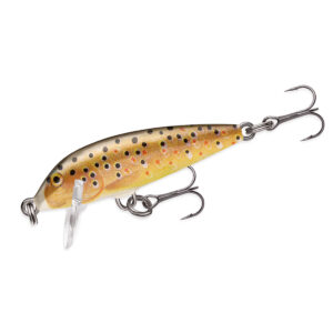 Воблер Rapala Countdown Sinking 25mm 2.7g 0.3-0.9m #TR (CD01 TR)