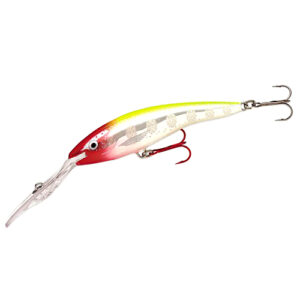 Воблер Rapala Deep Tail Dancer 110mm 22g 9m #PCLF (TDD11 PCLF)