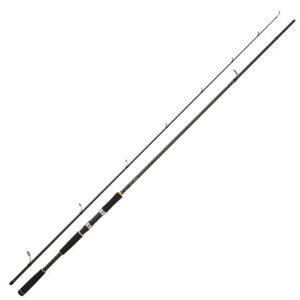 Спінінг Daiwa Legalis Seabass 2.9m 12-42g (11715-296)