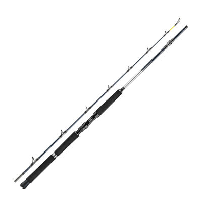 Морське вудлище Daiwa Leobritz Deepdrop 2.15m 200-650g (B0000375901)