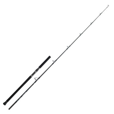 Спінінг Daiwa Saltiga C Dogfight 81-8 2.46m MAX 160g (05804242)