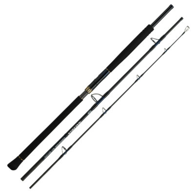 Спінінг Daiwa Saltiga C Expedition 82-10 2.49m MAX 200g (05804255)