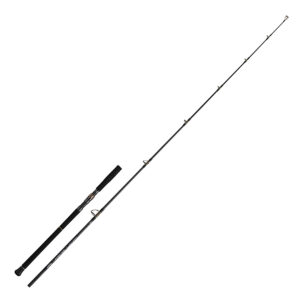 Спінінг Daiwa Saltiga C Bullswing 83-5 2.51m MAX 100g (05804281)